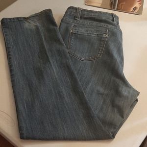Sky Distressed Plus Size Blue Jean's Sz 18